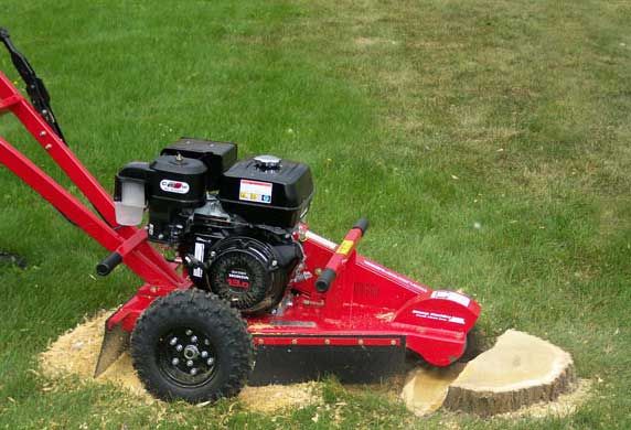 Walk-behind stump grinder working a cut stump on a lawn