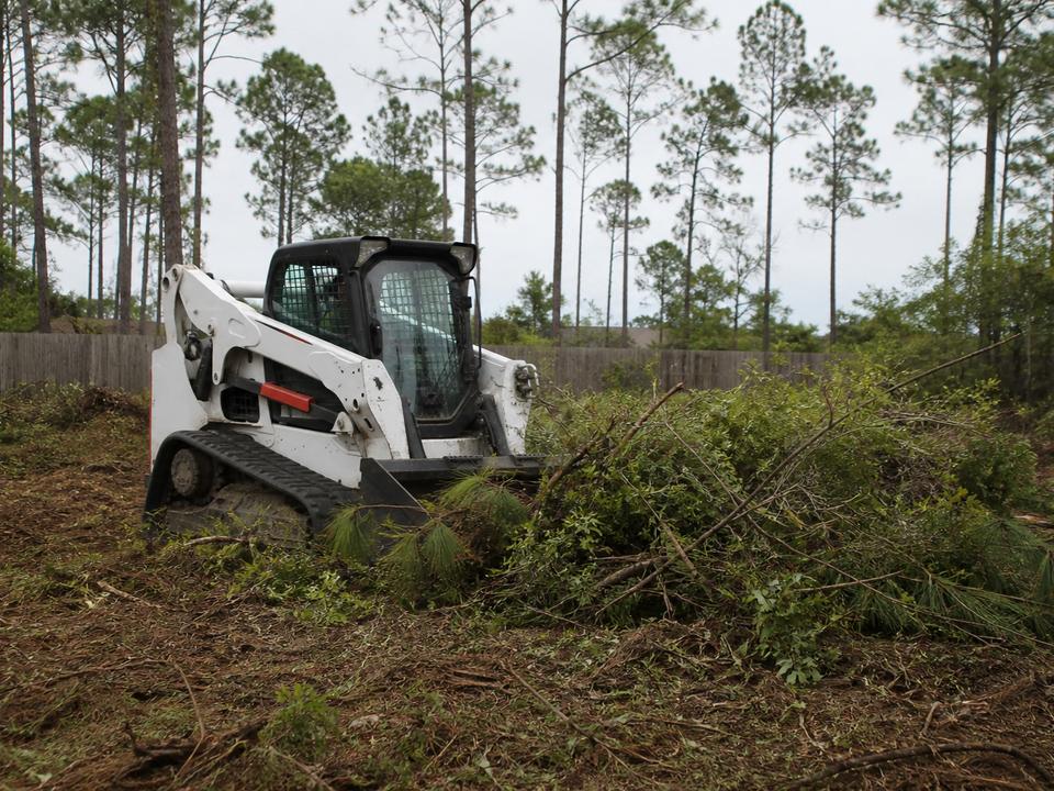 Compact loader clearing brush on a Louisiana lot