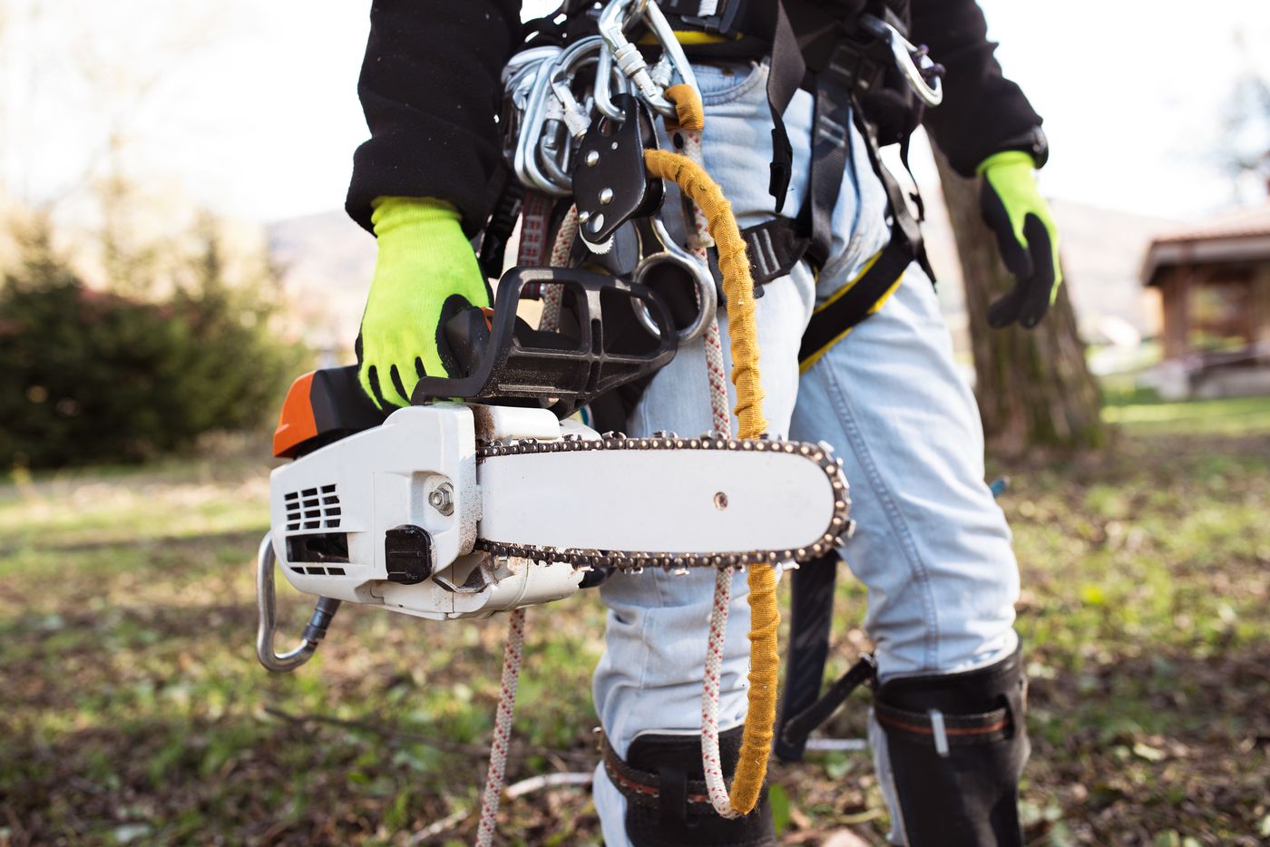Climber in harness with a saw — tree removal in Abita Springs